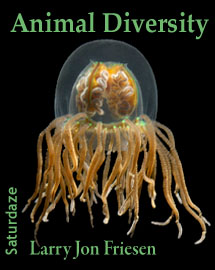  Animal Diversity 